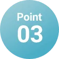Point 03
