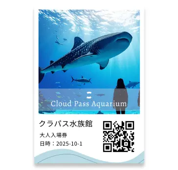 紙チケット カラー